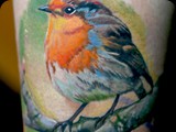 Baby-Robin-by-Todo-ABT-Tattoo