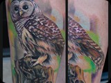 Bard-Owl-by-Todo-ABT-Tattoo