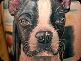 Boston-Terrier-portrait-by-Todo-ABT-Tattoo