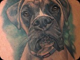 Boxer-portrait-by-Todo-ABT-Tattoo