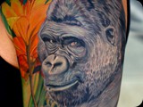 Gorilla-by-Todo-ABT-Tattoo