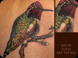 hummingbird-by-Todo-ABT-Tattoo