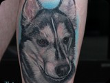 Husky-Portrait-by-Todo-ABT-Tattoo