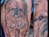 Pekingese-portrait-by-Todo-ABT-Tattoo