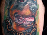 Rottweilder-portrait-tattoo-by-Todo-ABT-Tattoo