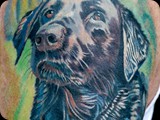 Rusty's-dog-portrait-by-Todo-ABT-Tattoo