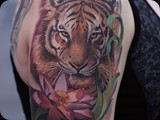 Tiger-and-Lotus-by-Todo-ABT-Tattoo